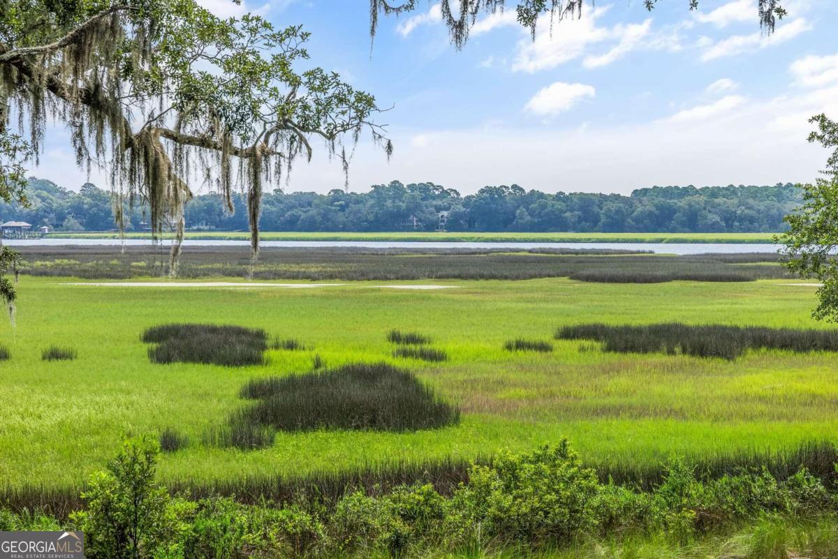 a view of a lake with a big yard and palm trees