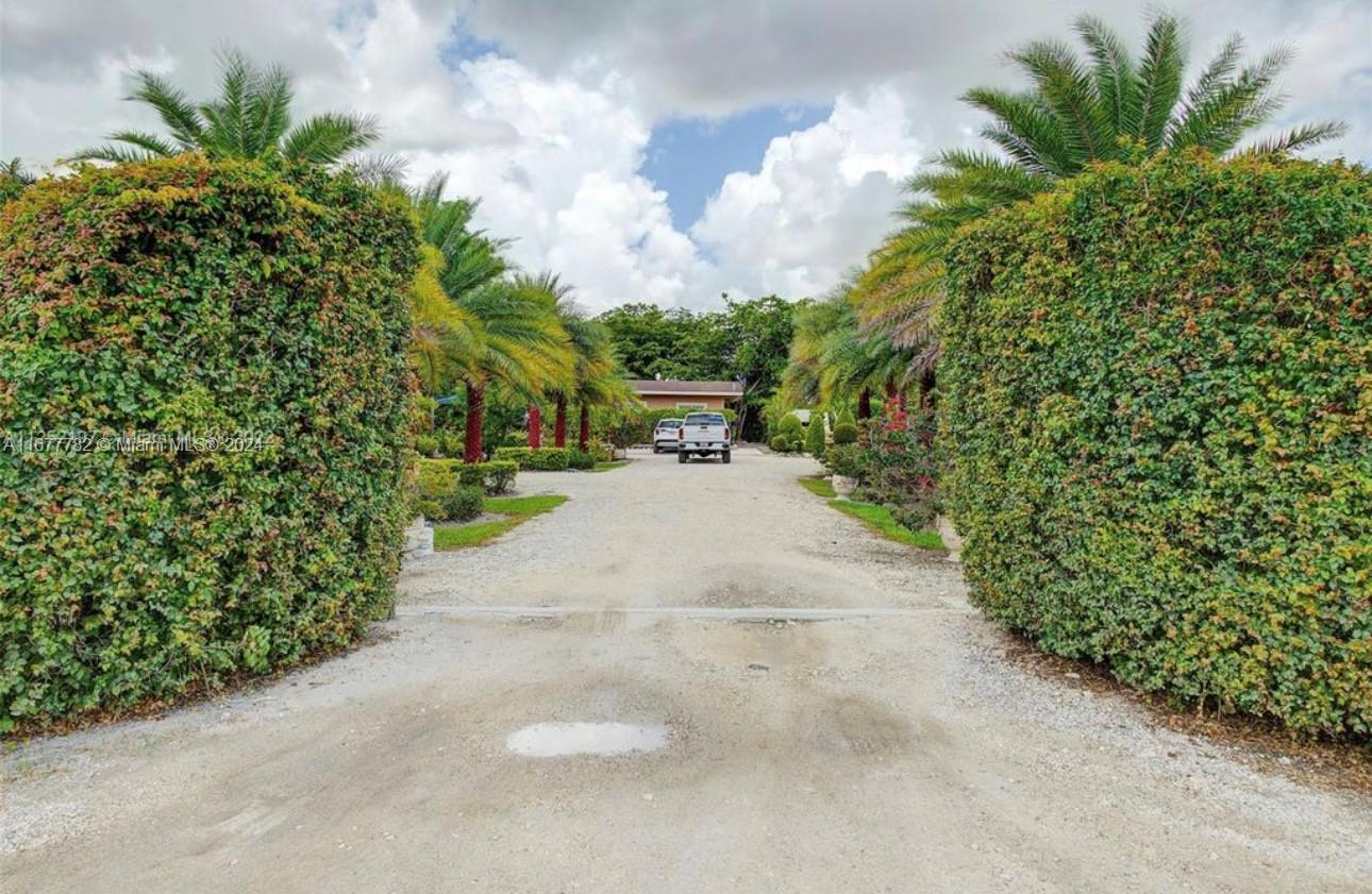 a view of a road with plants and trees