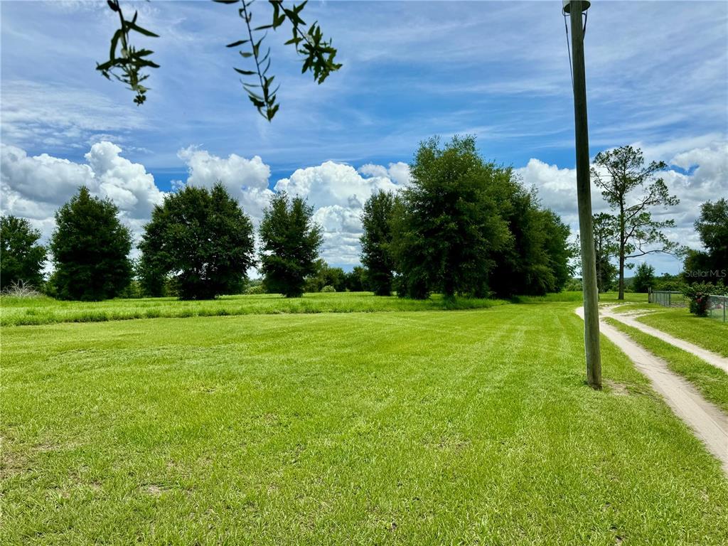 a view of a garden