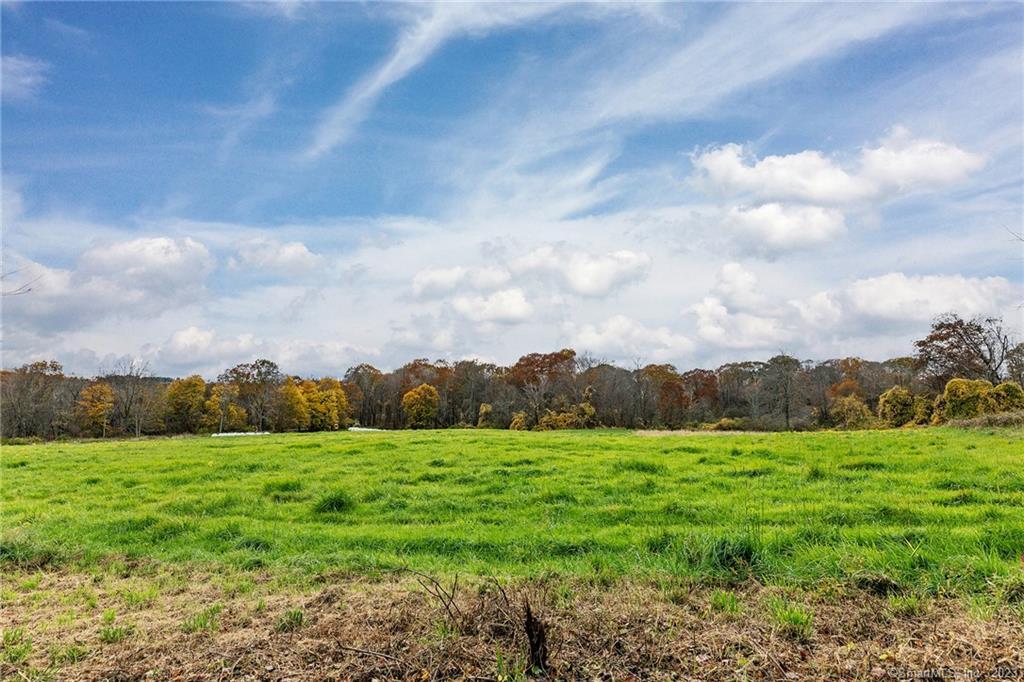 a view of a grassy field