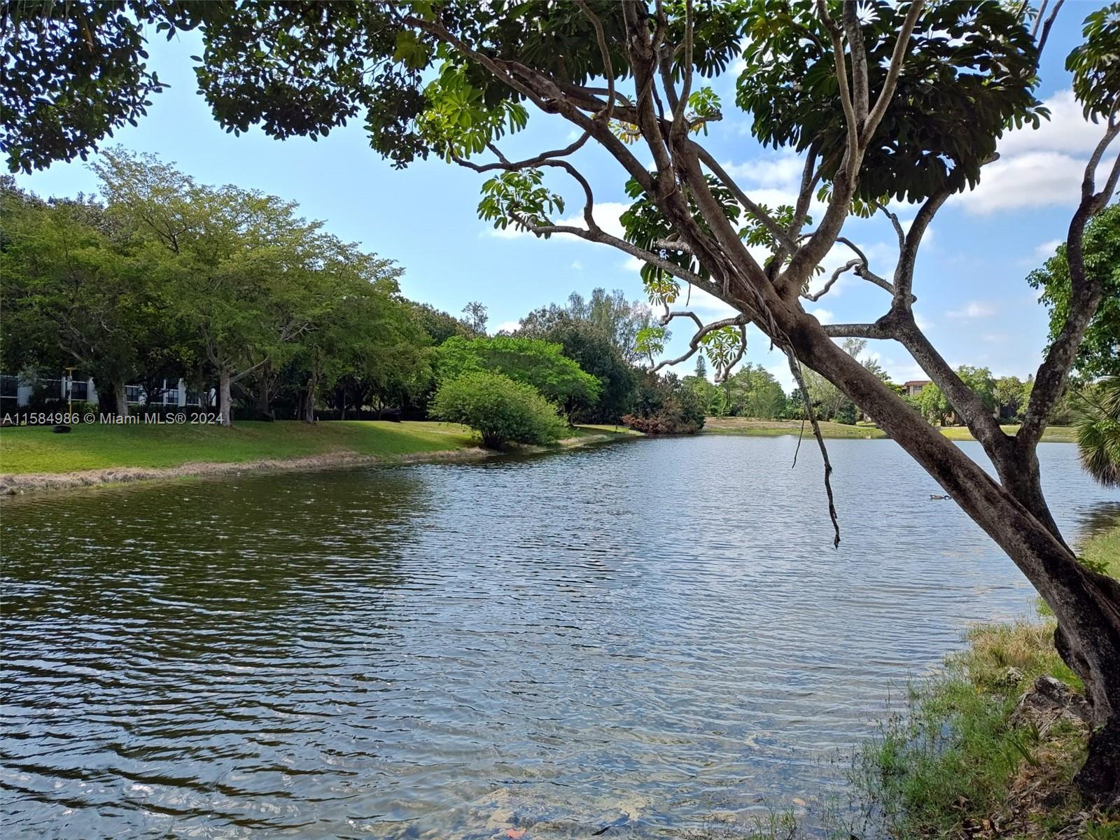 a view of a lake view