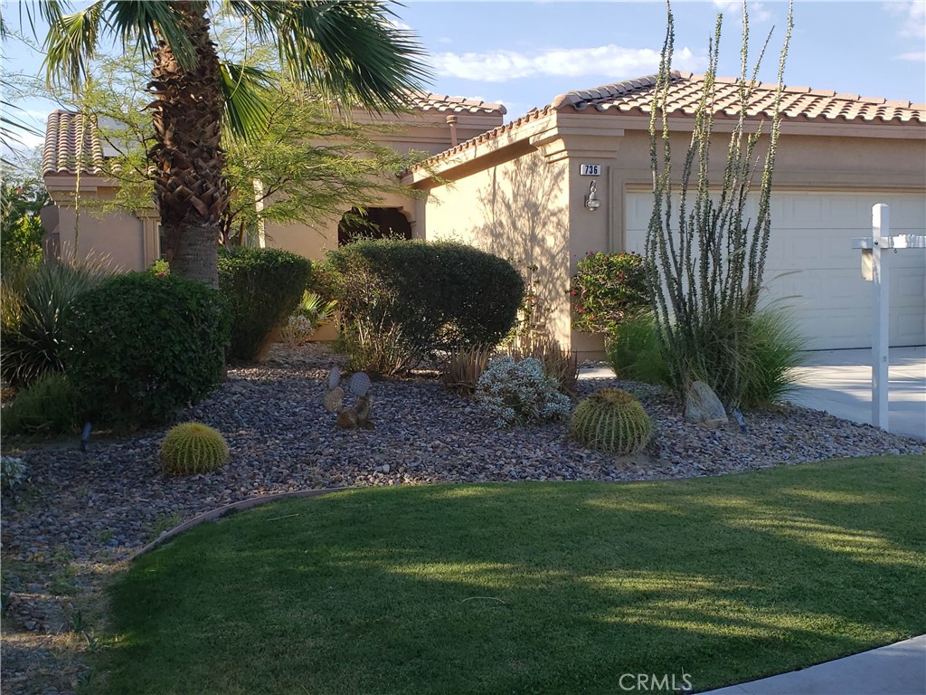 a view of a backyard