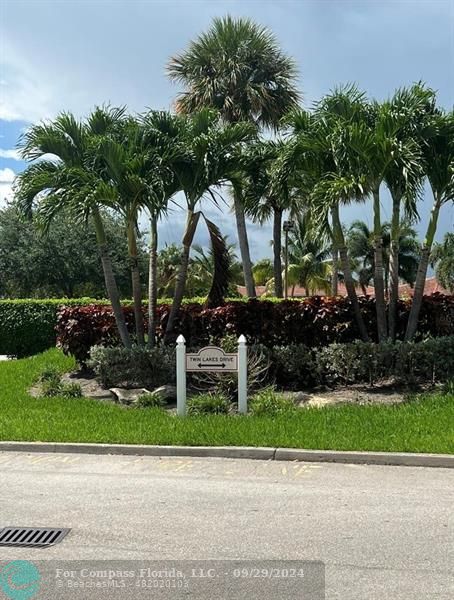 a view of a yard with plants and palm trees