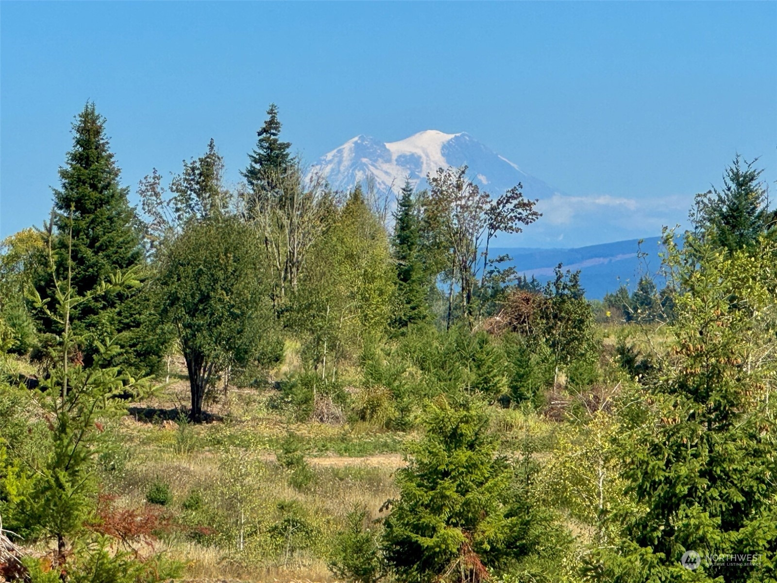 a view of a green field with lots of bushes