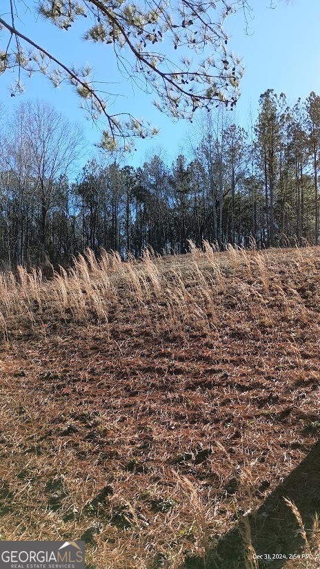 a view of a dry yard covered with snow in the background