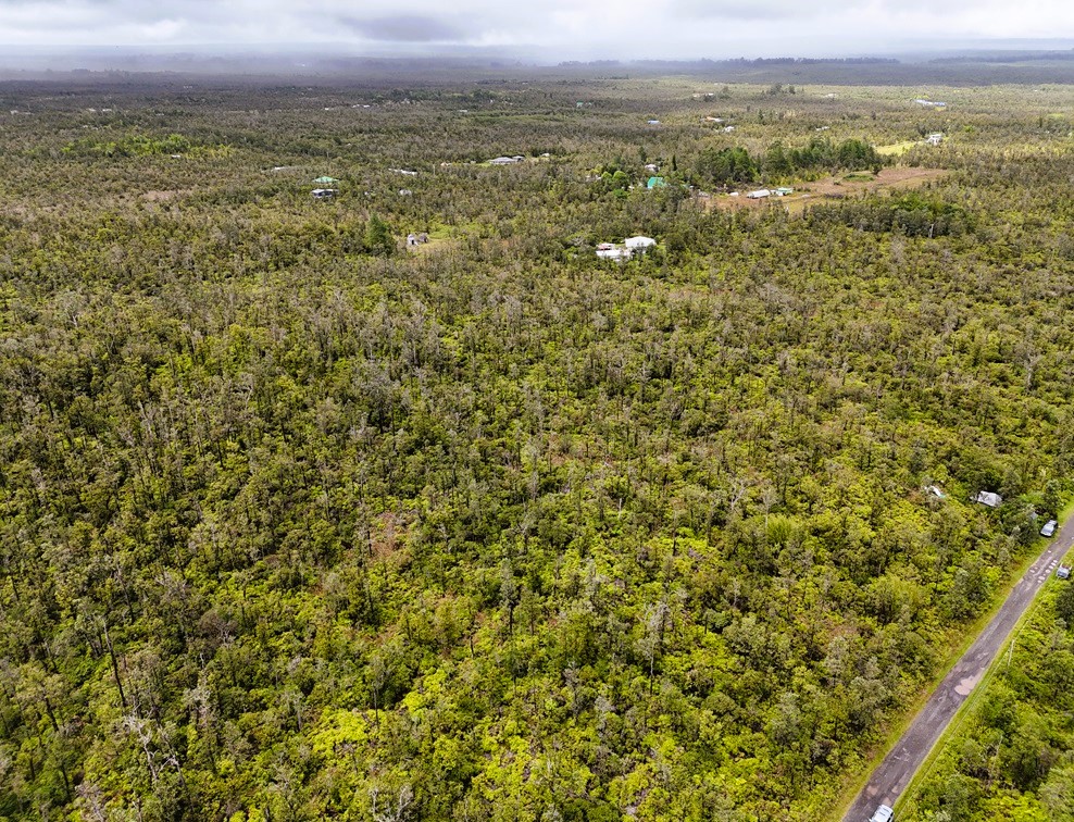 an aerial view of residential houses with outdoor space and trees