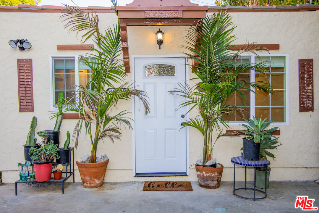 a potted plants sitting in front of a house