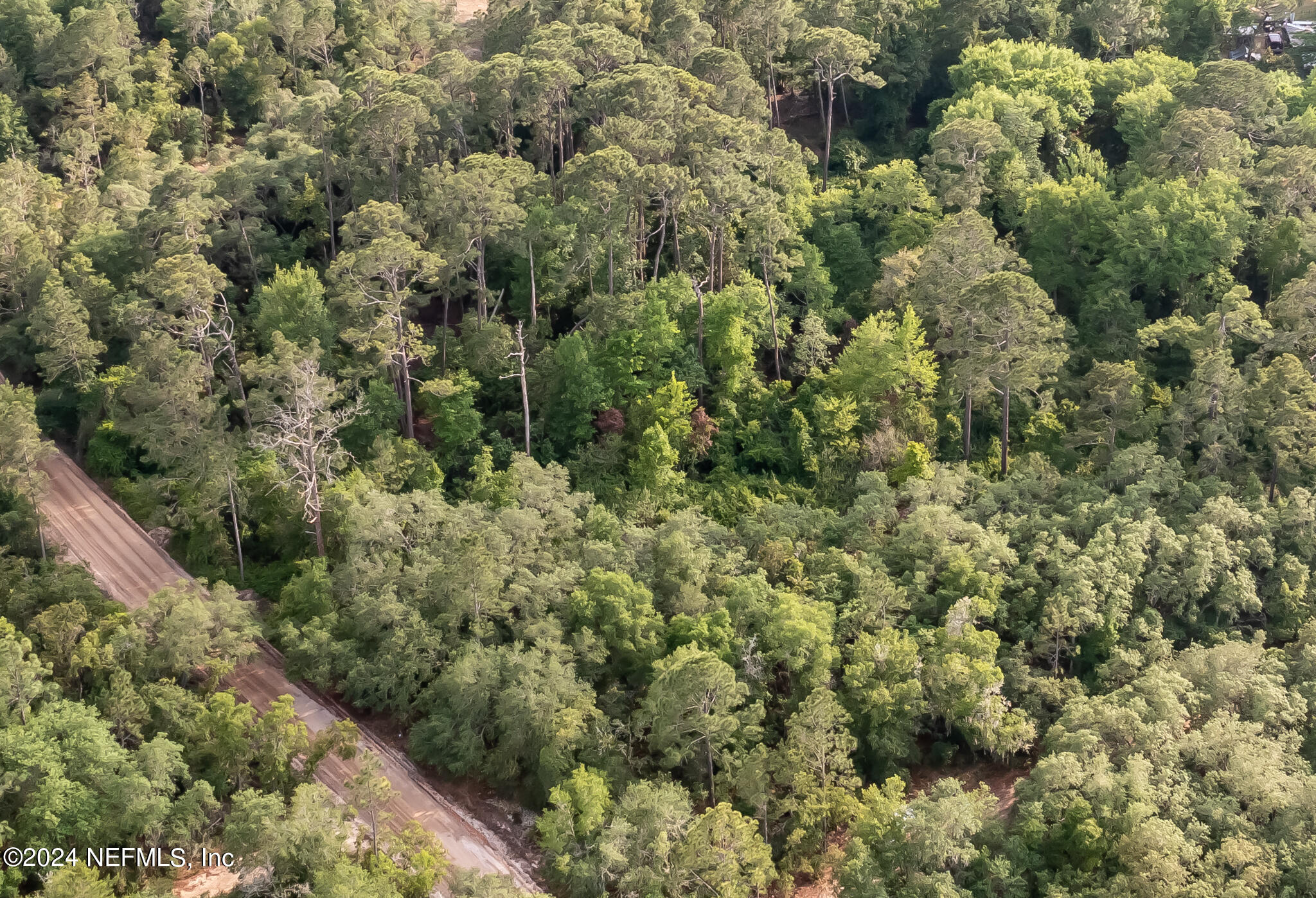 a view of a forest with a houses