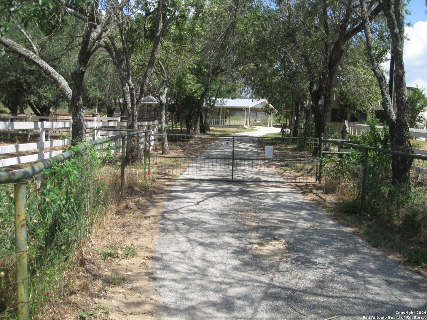 a view of a park with bench and trees