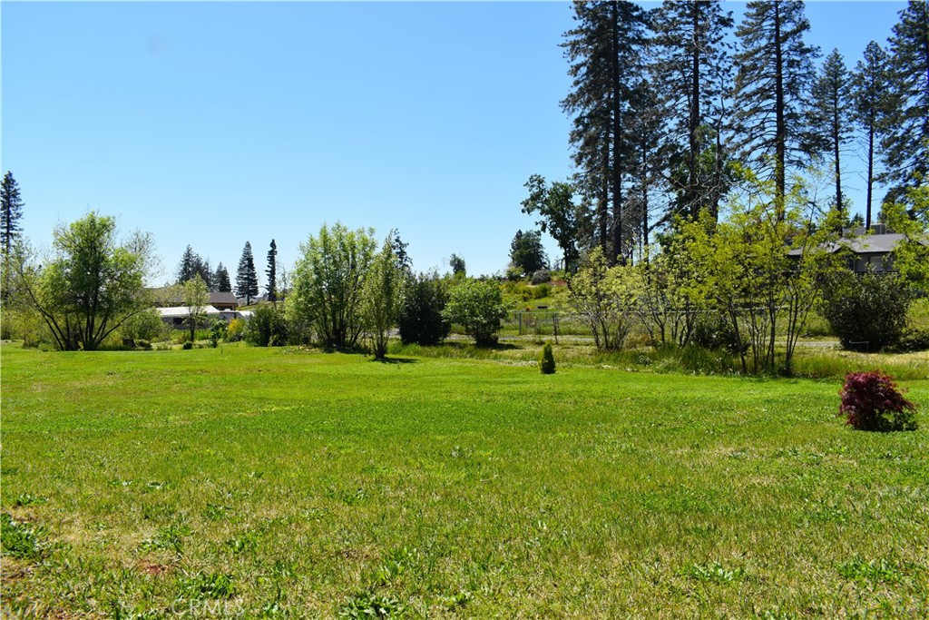 a view of a grassy field with trees in the background