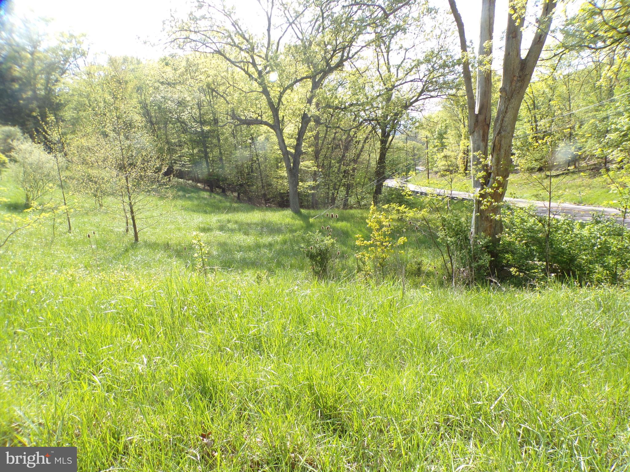 a view of yard with green space