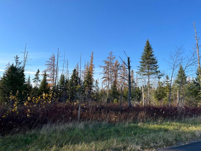 $49,500 | 0 Albair Road | Caribou