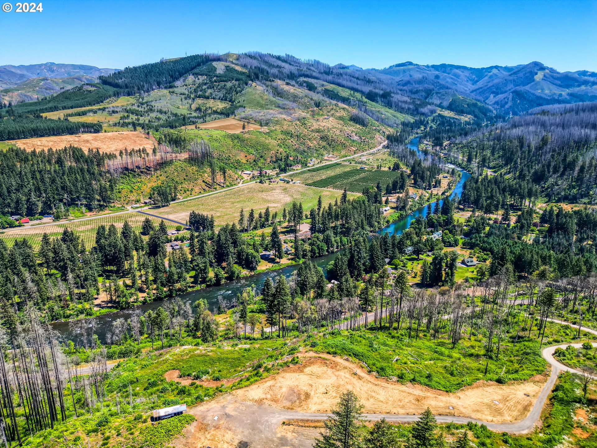 a view of a lot of trees and houses