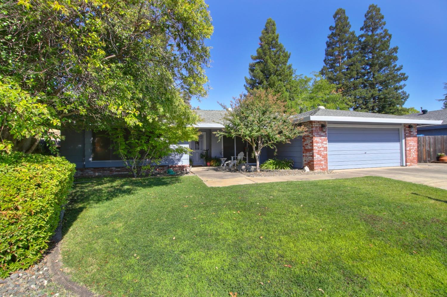 a view of a house with backyard and a tree