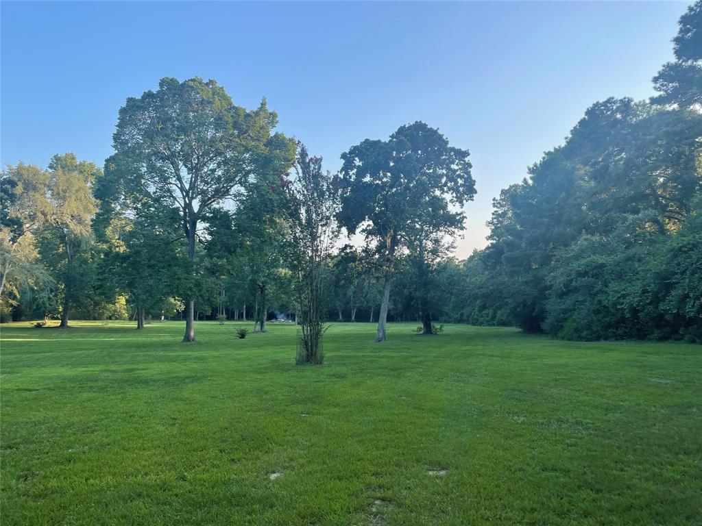 a view of a grassy field with trees in the background