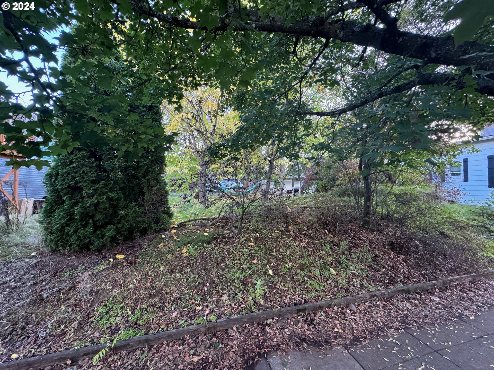 a big yard with lots of green space