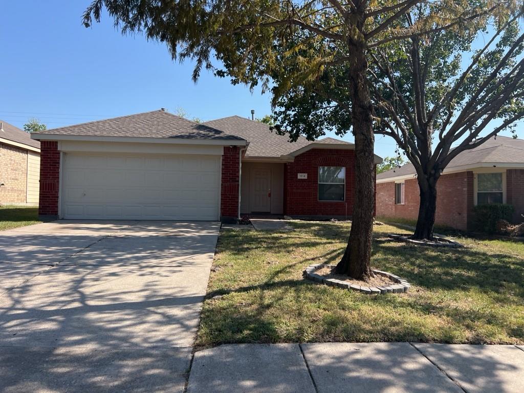 a house that has a tree in front of it