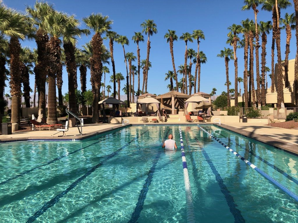 a view of a park with palm trees