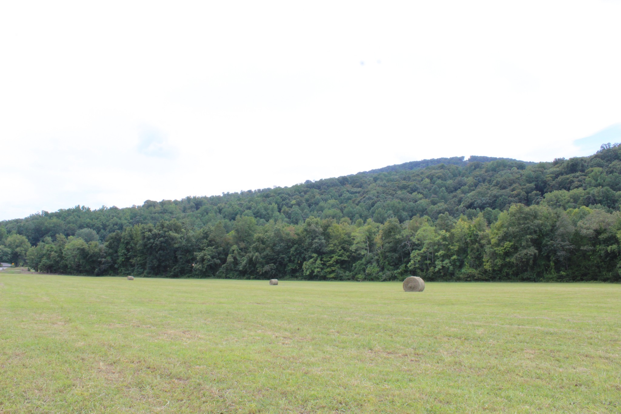 a view of a field with an ocean