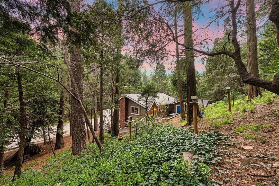 a backyard of a house with lots of green space