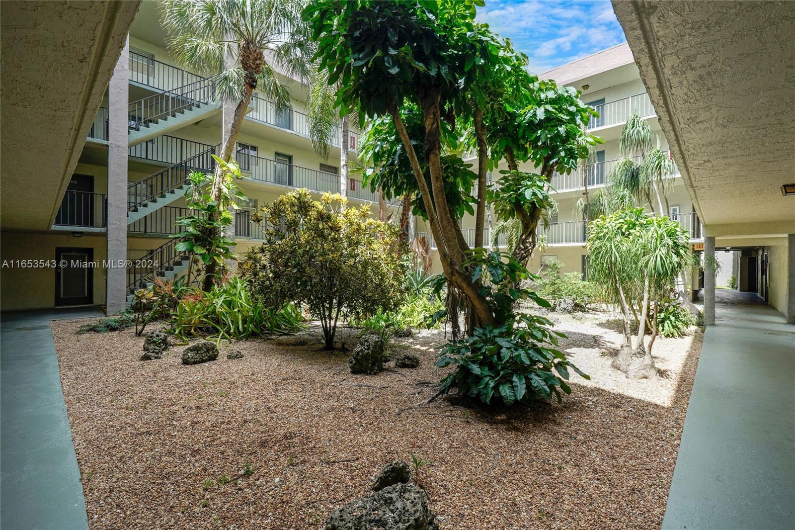 a view of a garden with plants