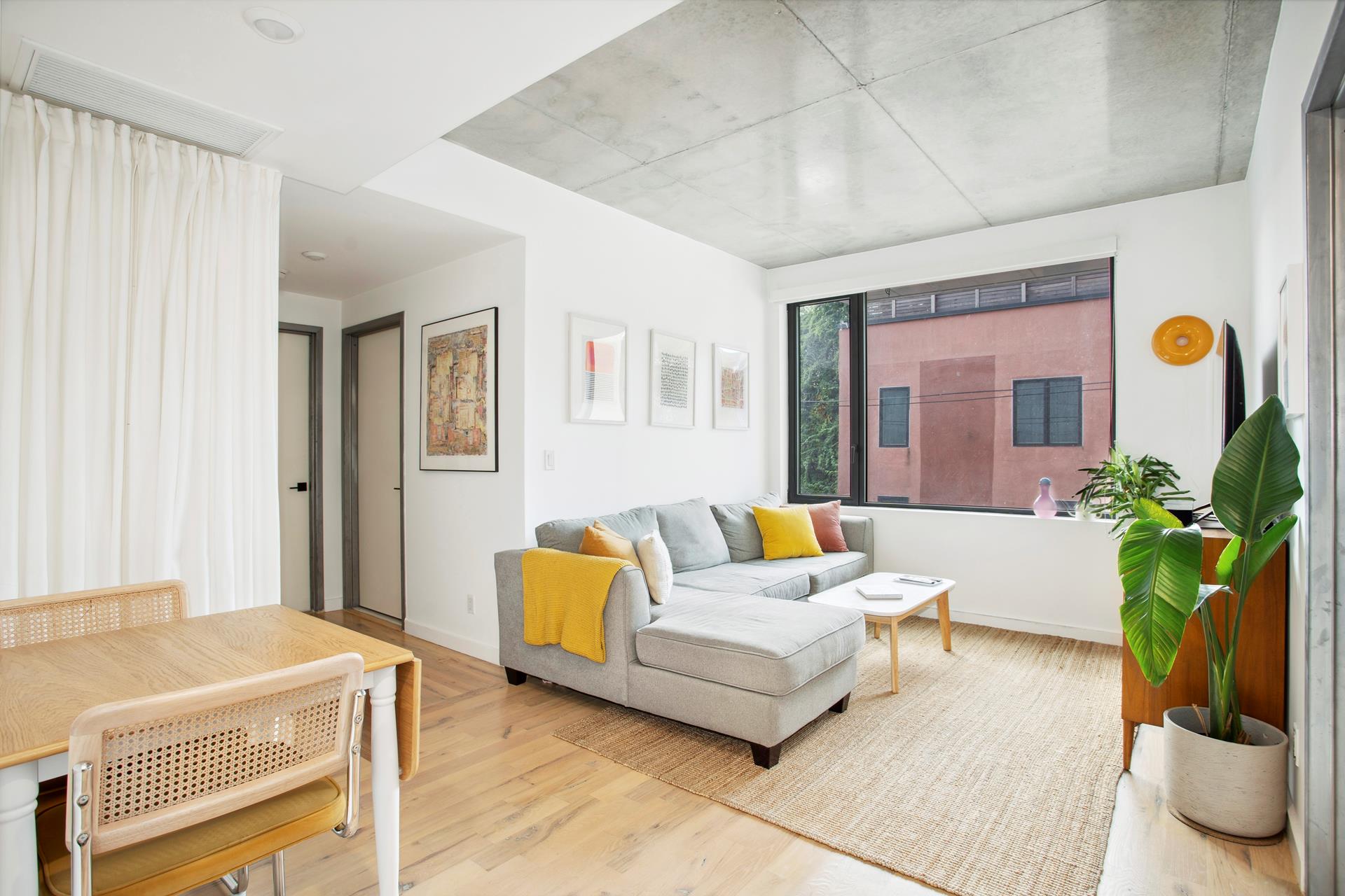 a living room with furniture and a potted plant