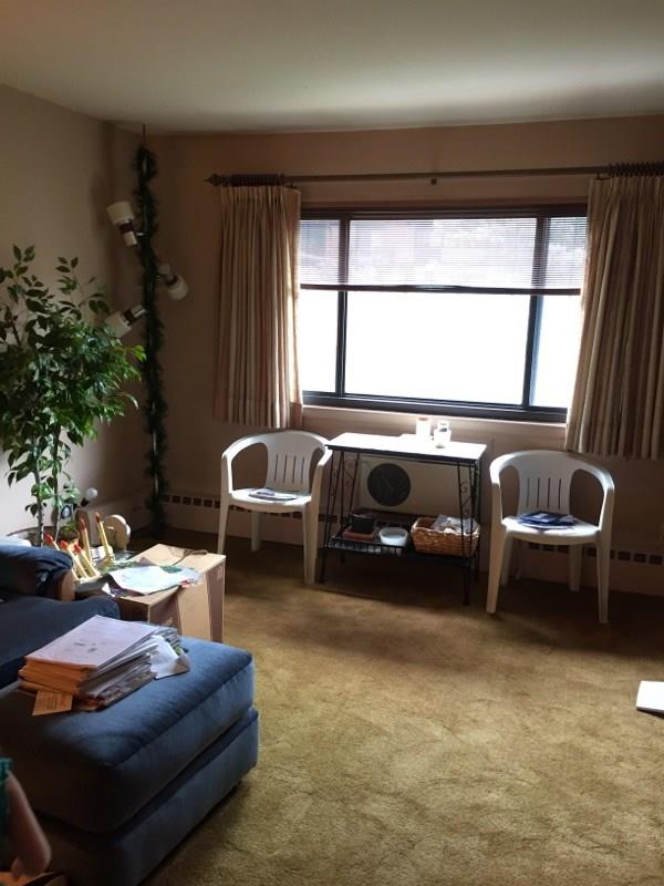 a living room with furniture floor to ceiling window and potted plant