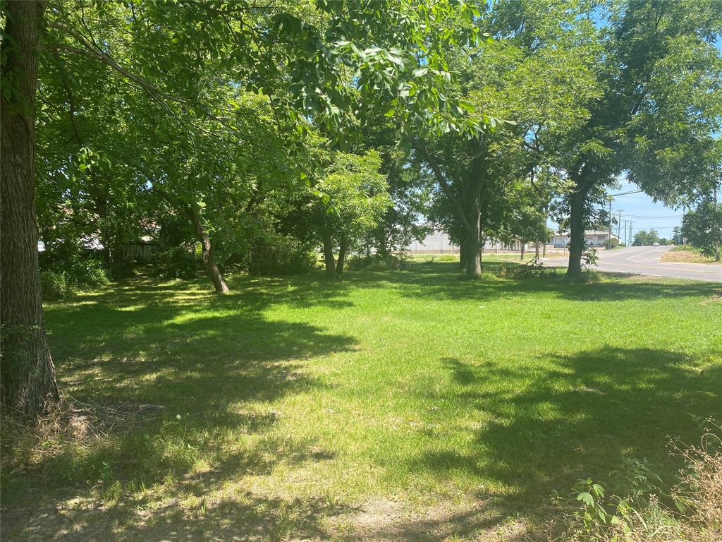 a view of a park with large trees