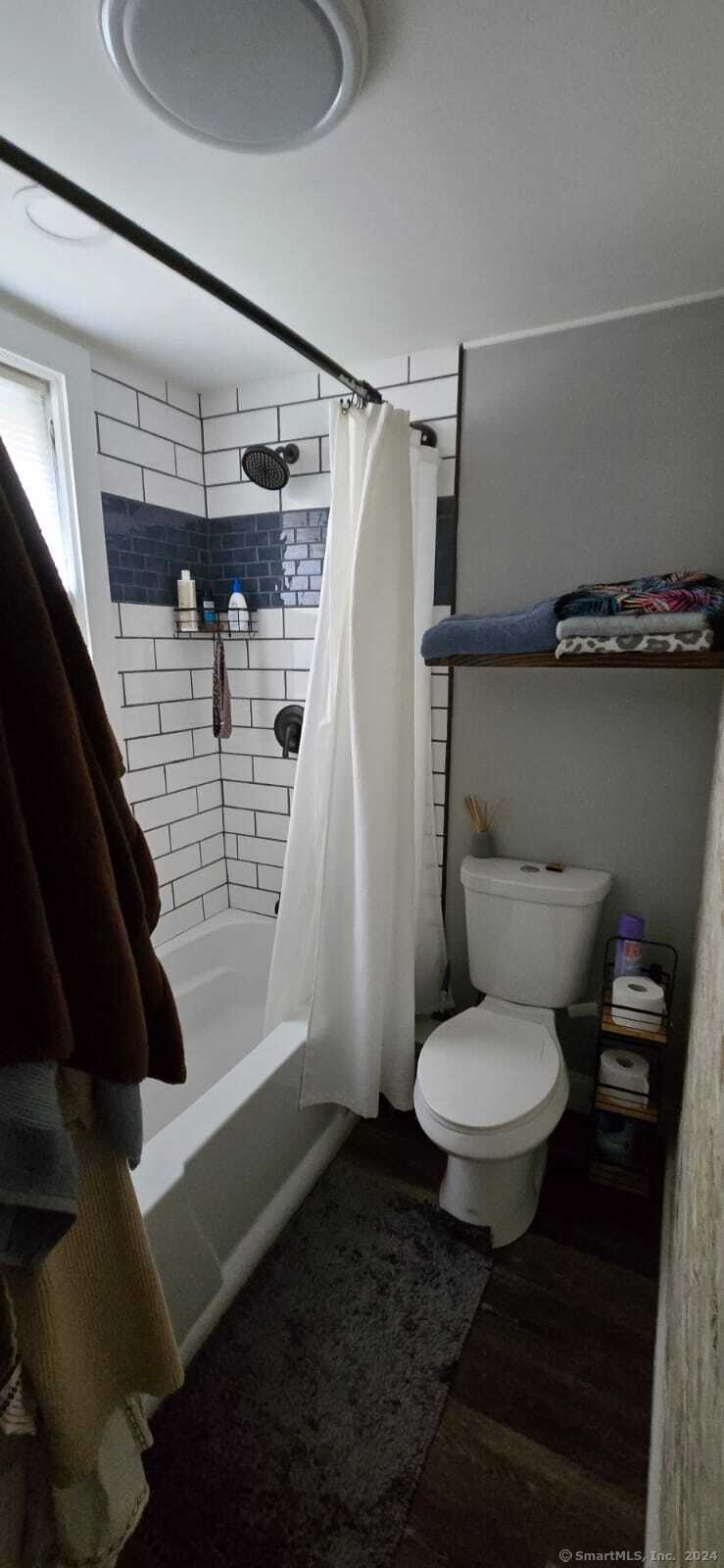 a bathroom with a toilet and a shower