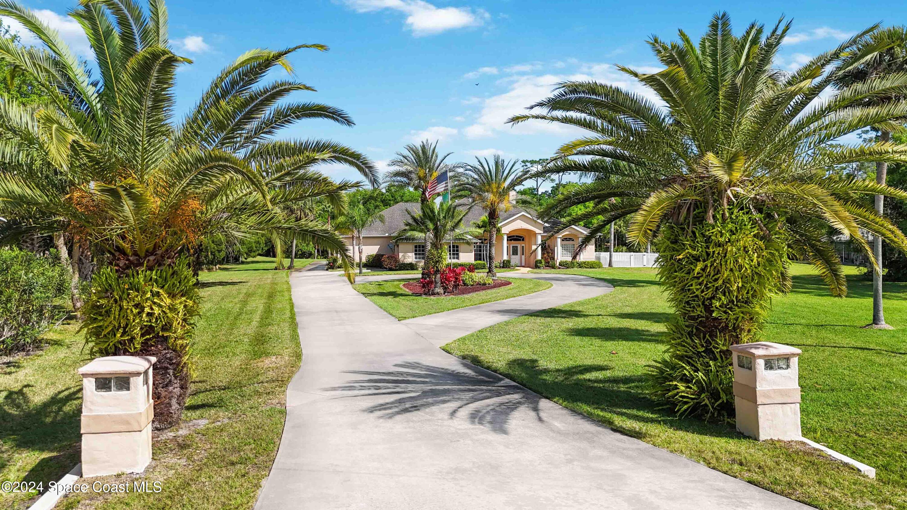 a view of a park with palm trees