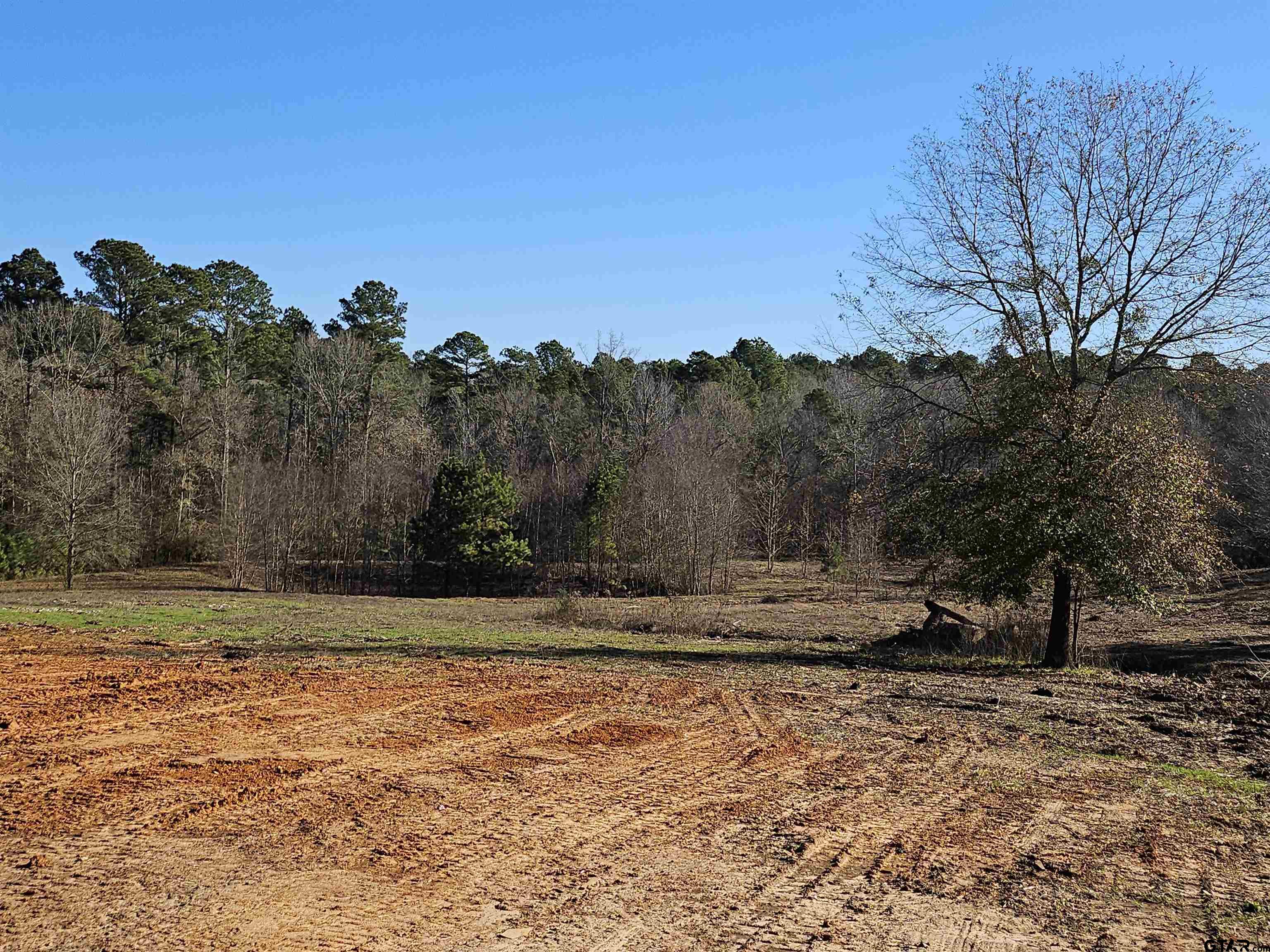 a view of a dry yard with trees