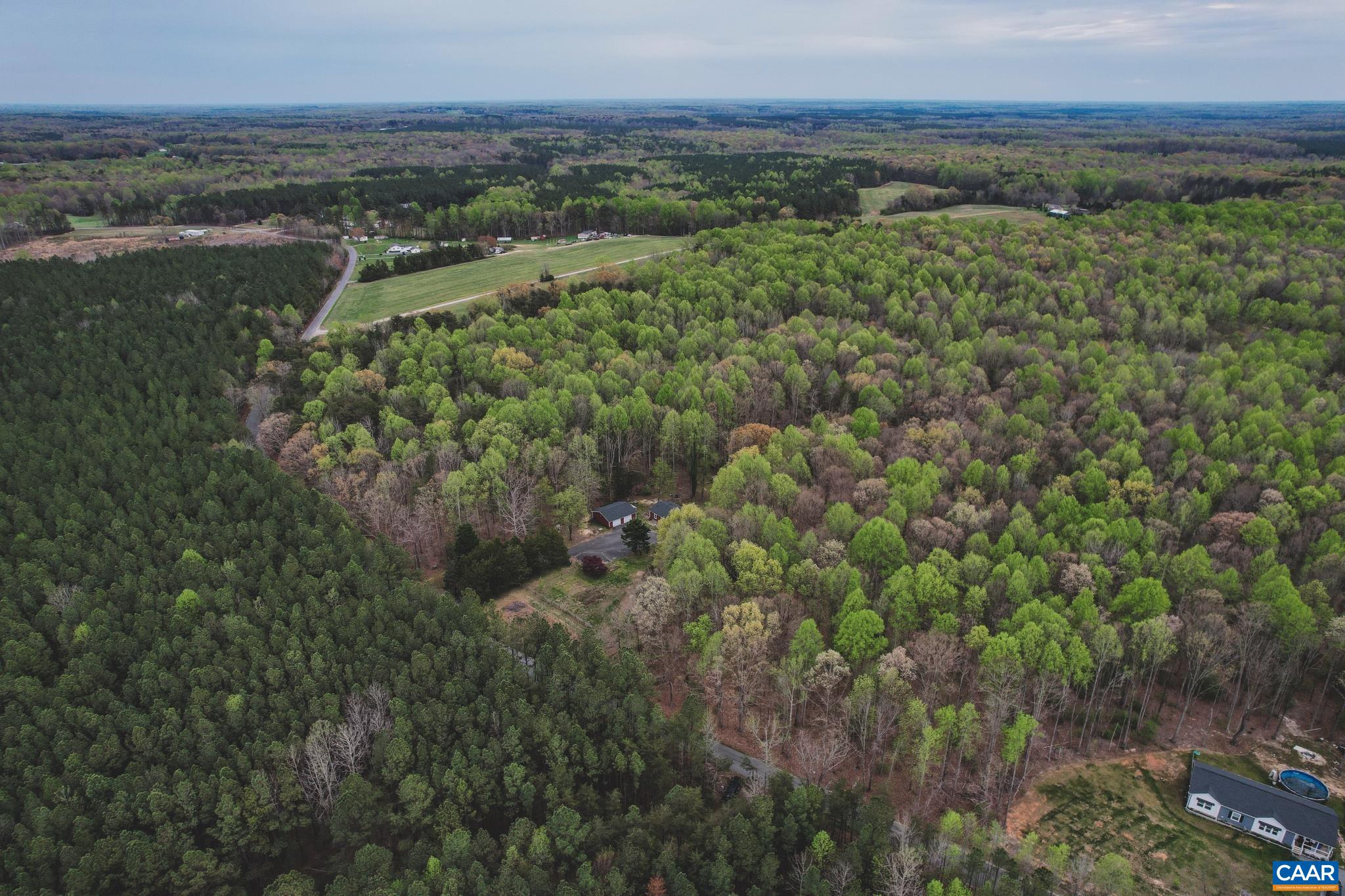 a view of a green field with lots of bushes