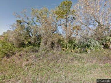 a view of a yard with a tree