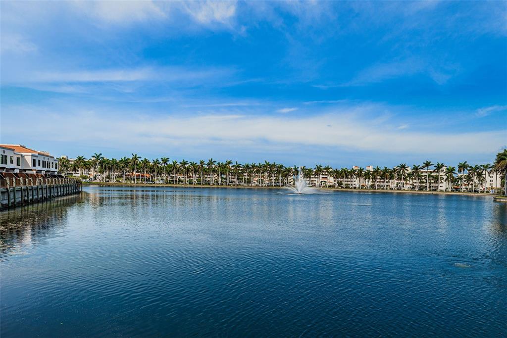 a view of an ocean with trees