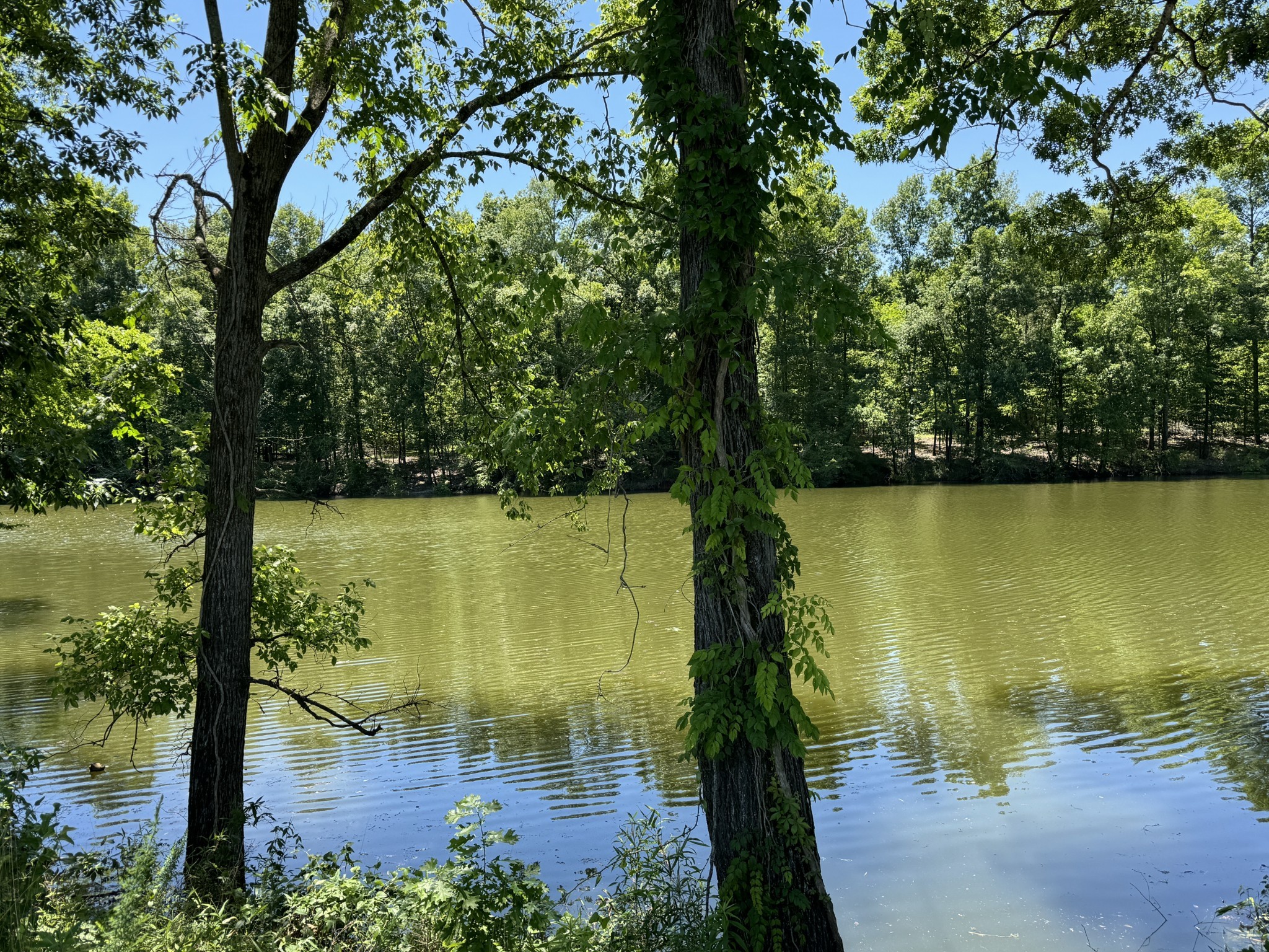 a view of lake view