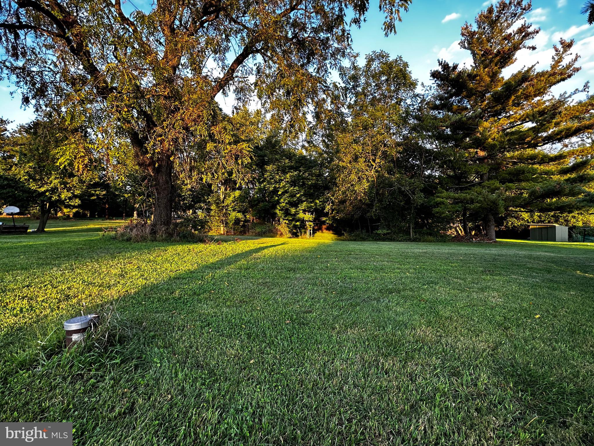 a view of green field with trees in the background