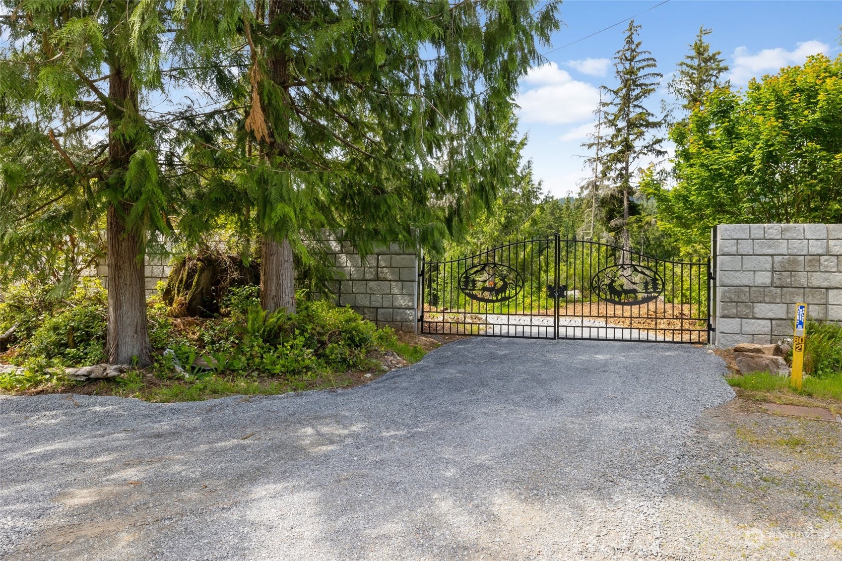 a view of outdoor space and yard