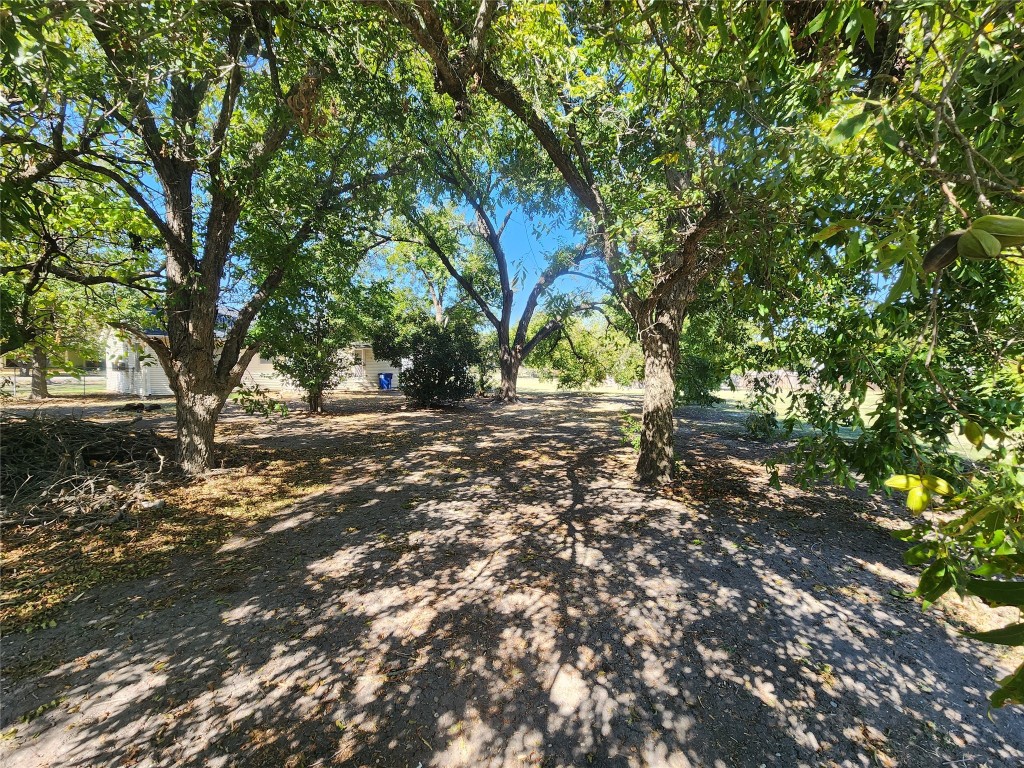 a view of road view with tree