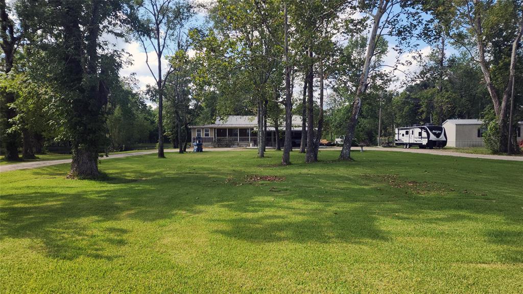 a view of a park with trees and grass