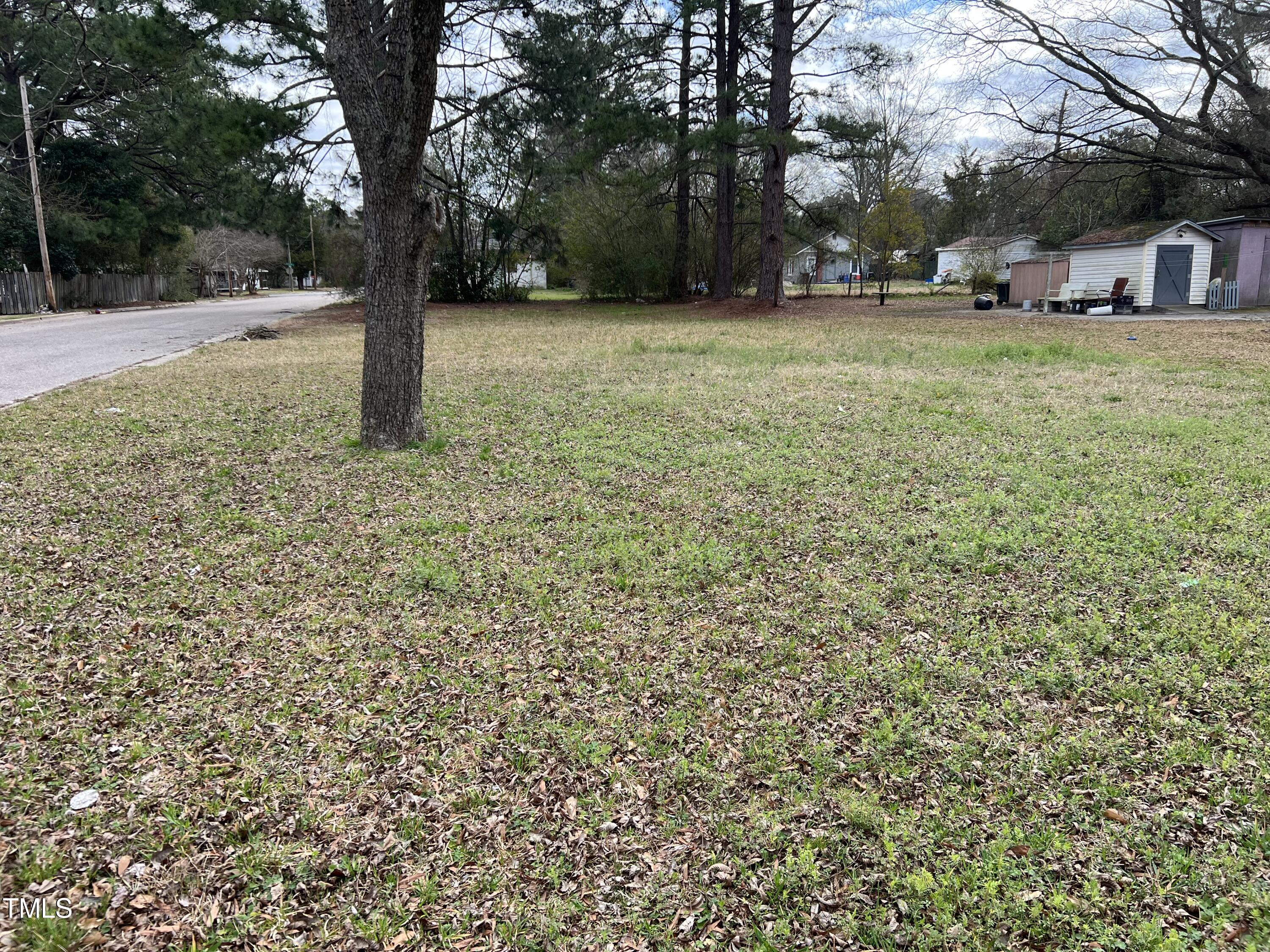 a tree in the middle of a yard