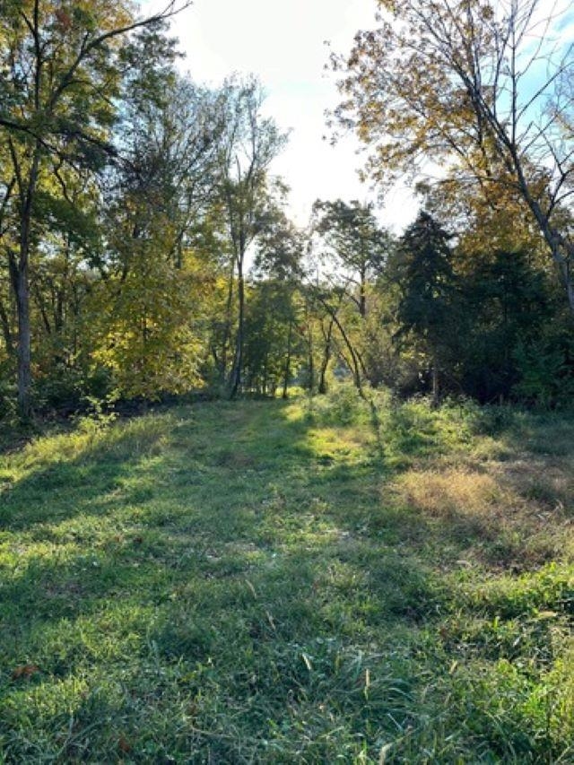 a view of outdoor space with trees all around