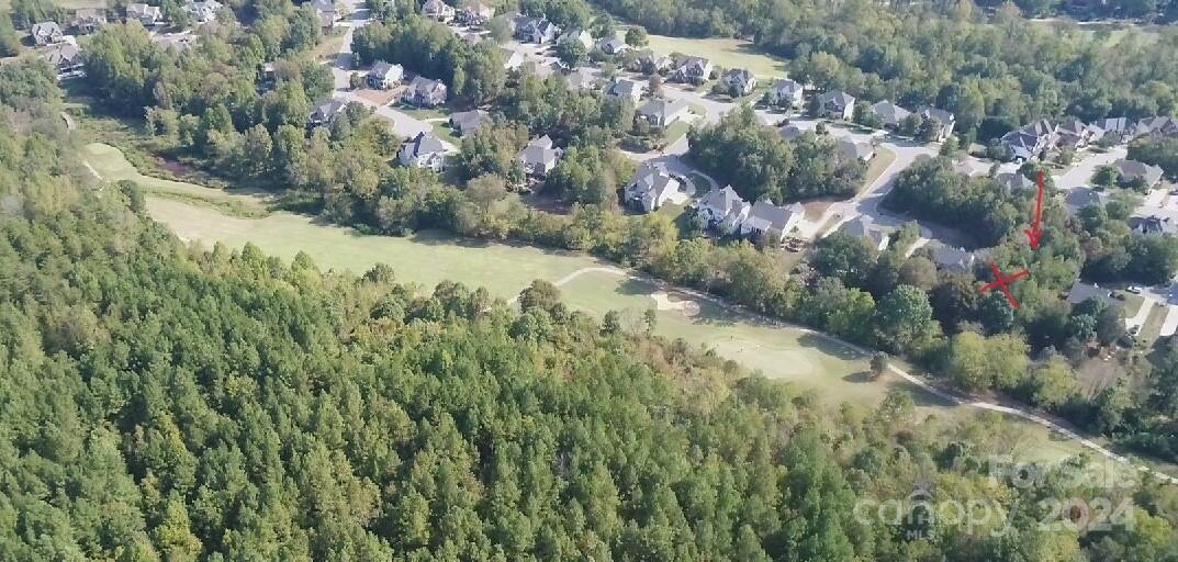 a view of a forest with a forest