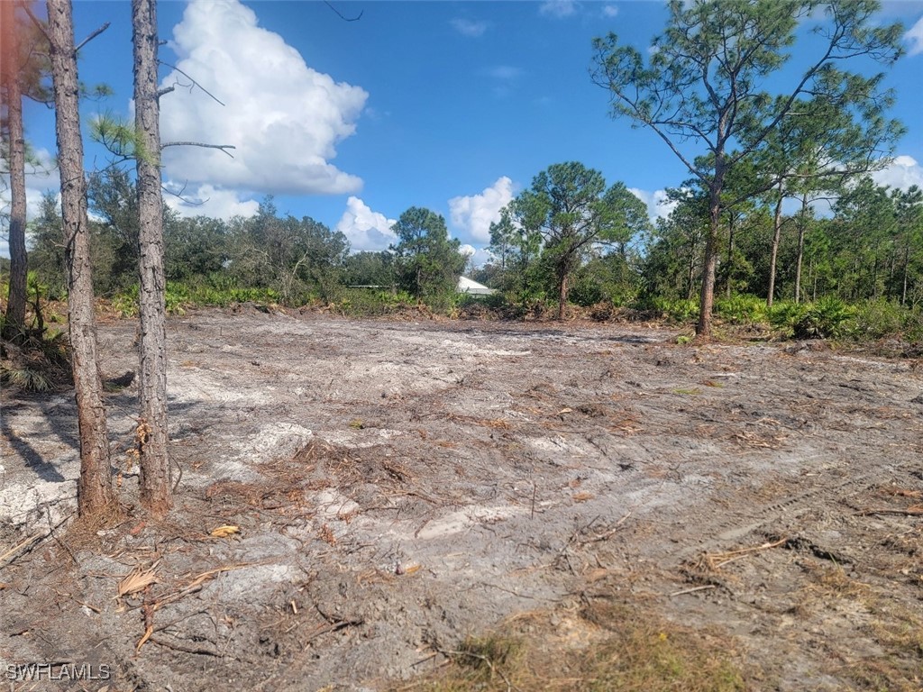 a view of a yard with a tree