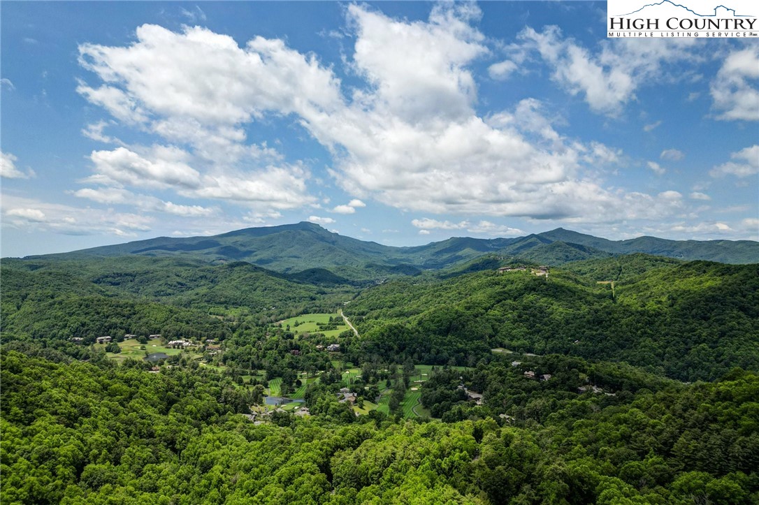 a view of a city with lush green forest