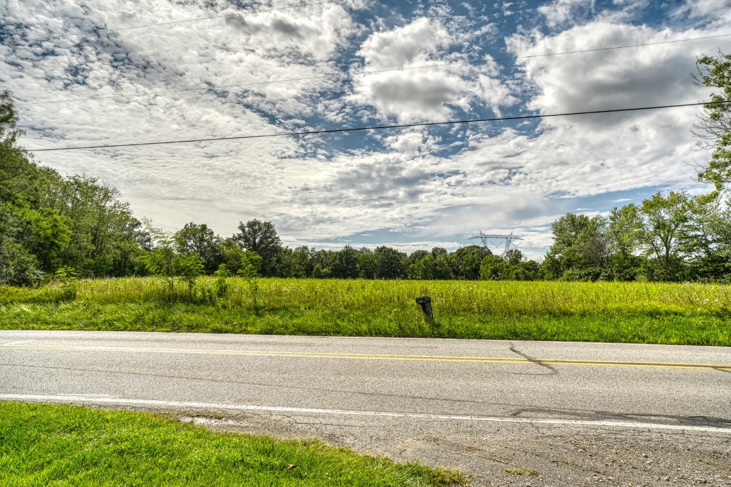 a view of a yard and road