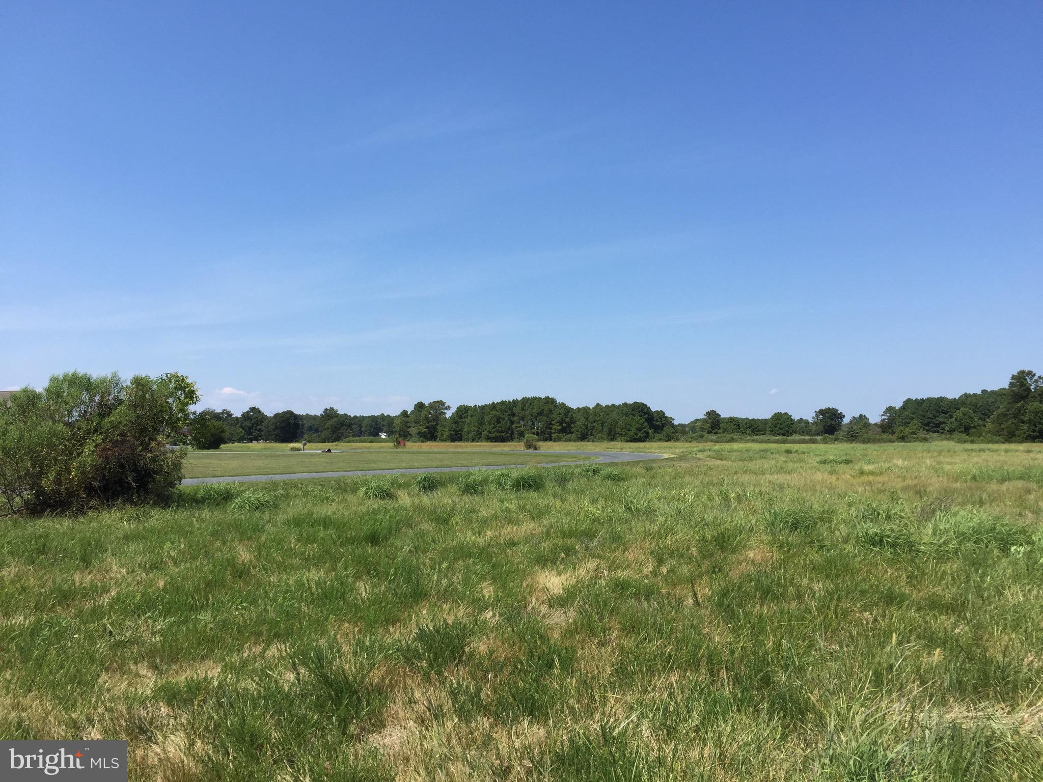 a view of an green field and mountains