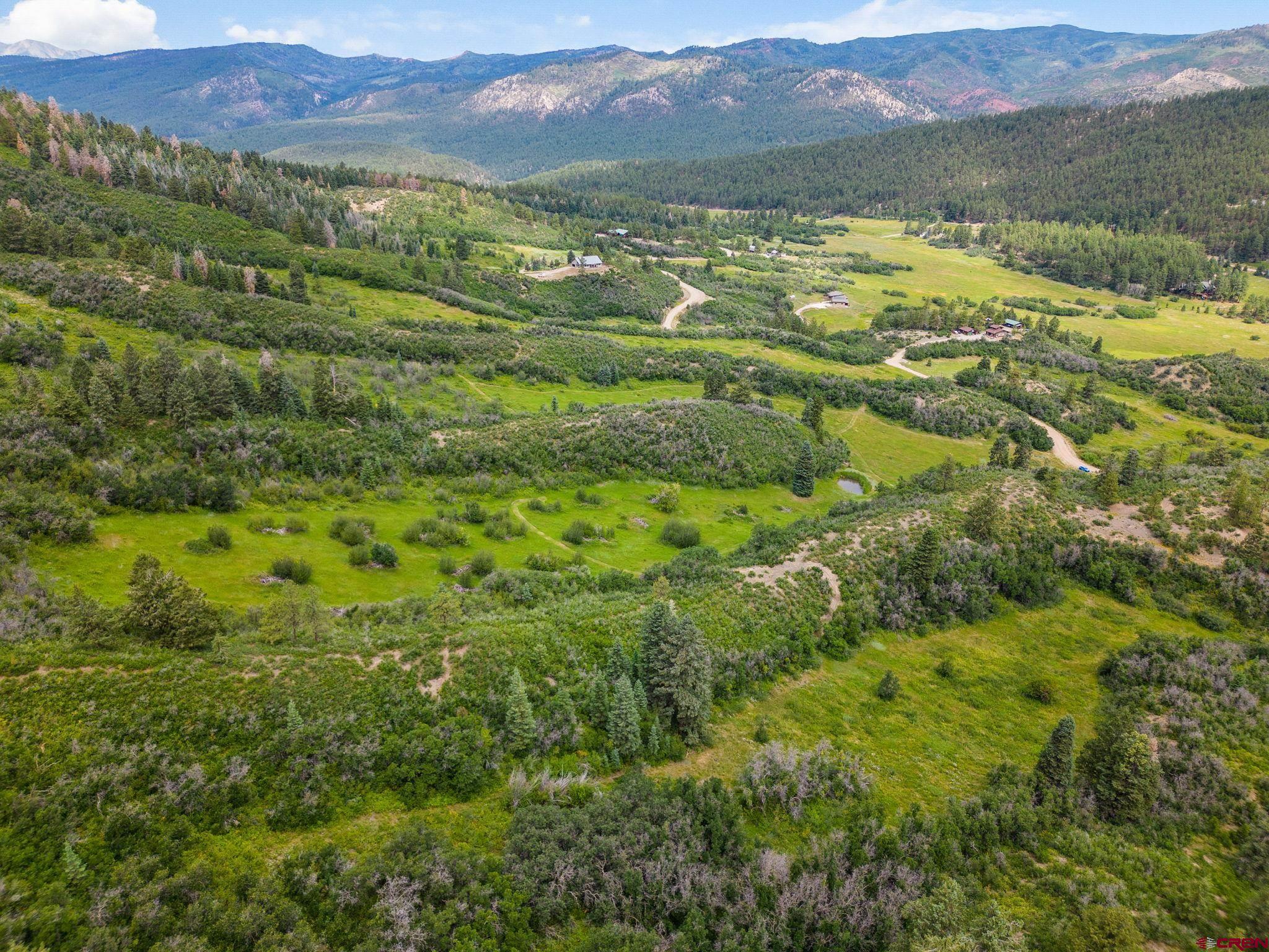 a view of a lush green hillside and houses