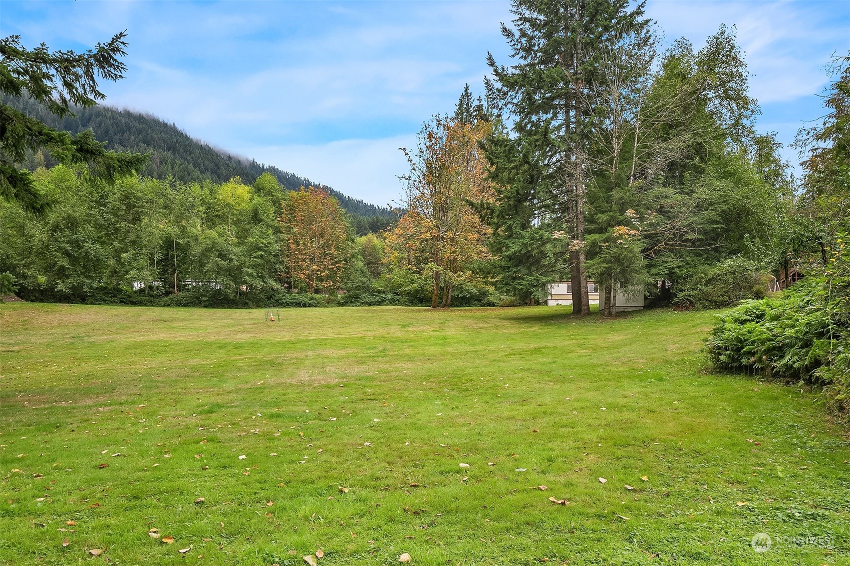 a view of yard with green space