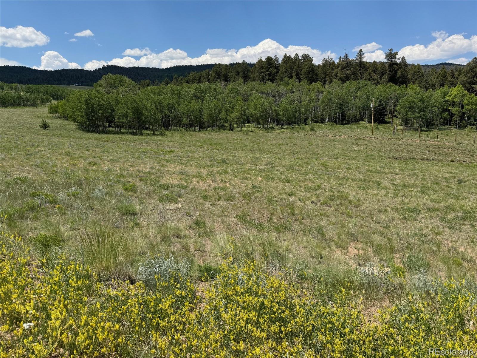 a view of a big yard with green space