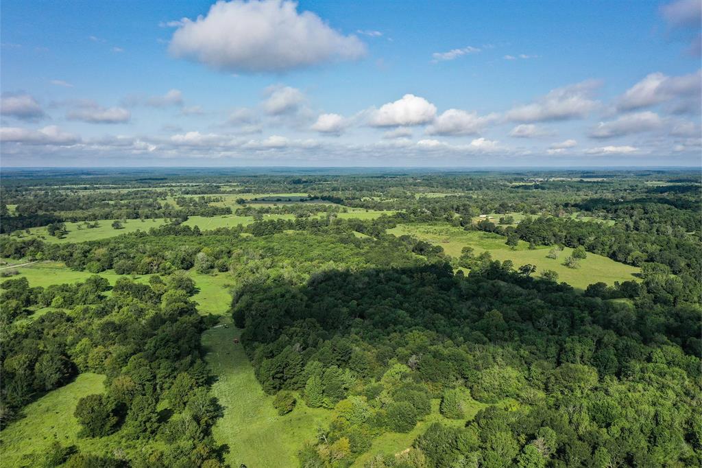 a view of a green field